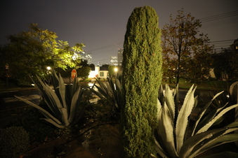 Enlarge photo 12