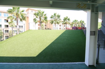 Enlarge photo 46
