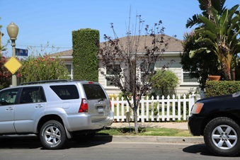 Enlarge photo 6