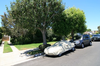 Enlarge photo 12