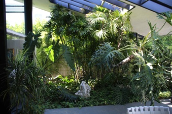 Enlarge photo 29