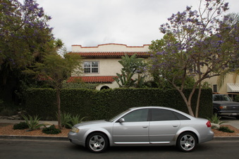 1080 Meadowbrook Ave, Miracle Mile