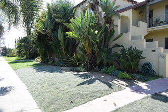 Enlarge photo 5