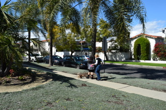 Enlarge photo 12