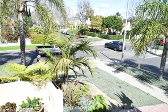 Enlarge photo 88