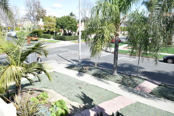 Enlarge photo 89