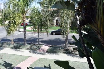 Enlarge photo 90