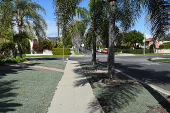 Enlarge photo 95