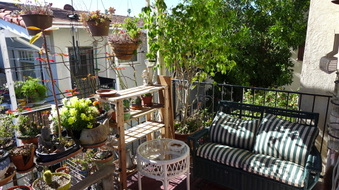 Enlarge photo 8