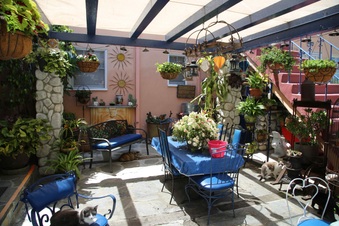 Enlarge photo 14