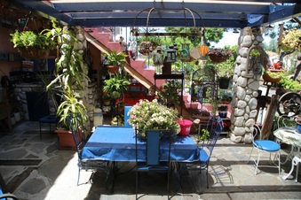 Enlarge photo 20