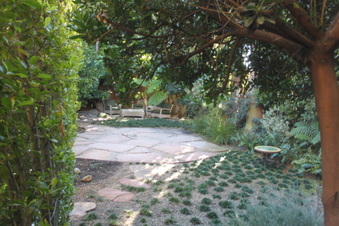 Enlarge photo 56