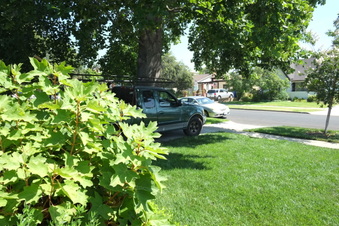 Enlarge photo 5
