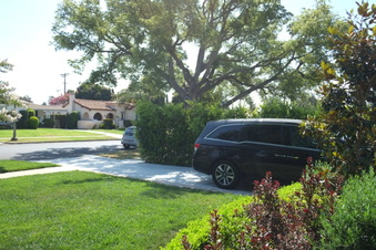 Enlarge photo 7