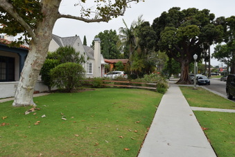Enlarge photo 18