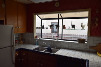 Enlarge photo 37