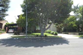 Enlarge photo 9