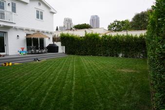 Enlarge photo 27