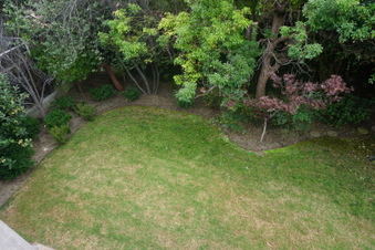 Enlarge photo 32