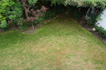Enlarge photo 31