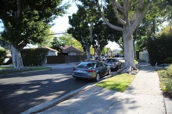 Enlarge photo 18