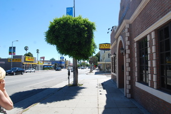 Enlarge photo 4
