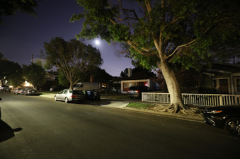 Enlarge photo 6