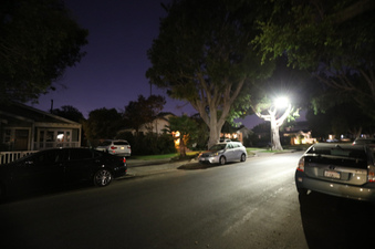 Enlarge photo 15