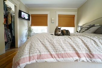 Enlarge photo 59