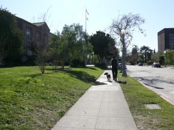 Enlarge photo 34