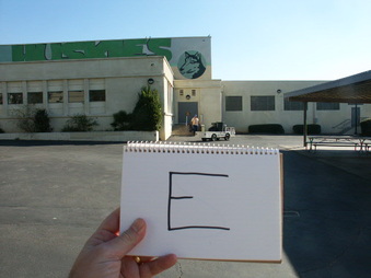 Enlarge photo 42