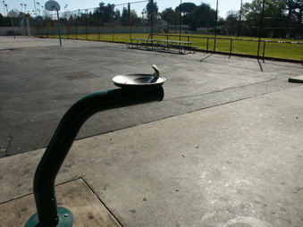 Enlarge photo 46