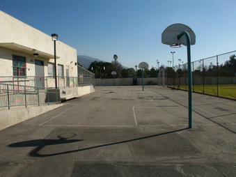 Enlarge photo 50