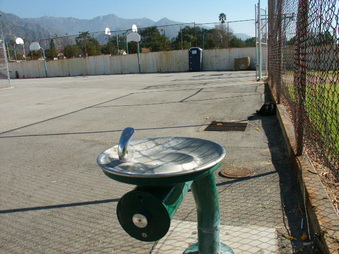 Enlarge photo 55
