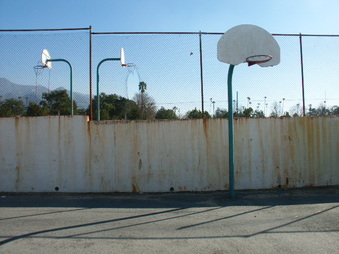 Enlarge photo 59