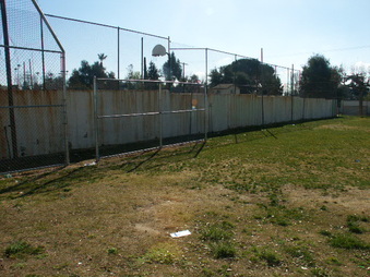 Enlarge photo 61