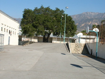 Enlarge photo 67