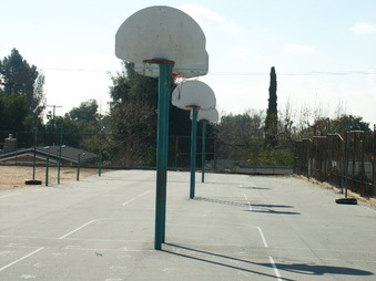 Enlarge photo 70