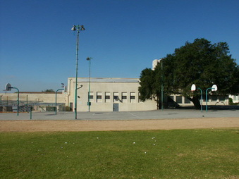 Enlarge photo 74