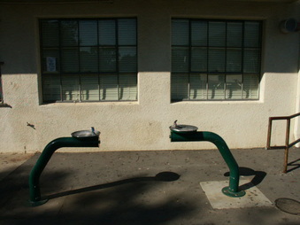 Enlarge photo 81