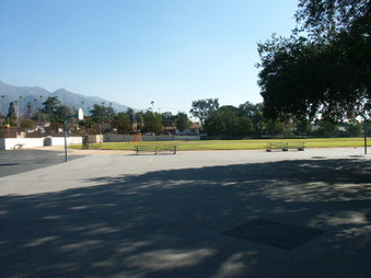 Enlarge photo 86
