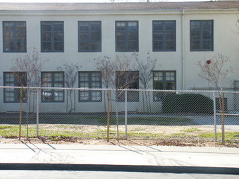 Enlarge photo 114