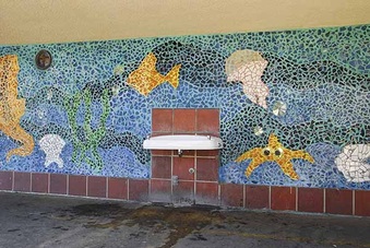 Enlarge photo 62