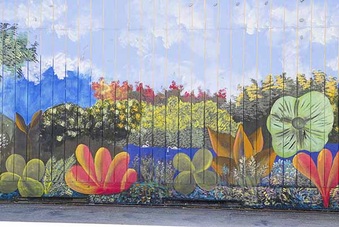 Enlarge photo 72