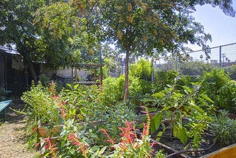 Enlarge photo 95