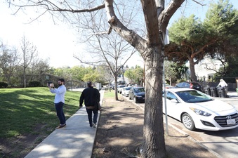 Enlarge photo 43