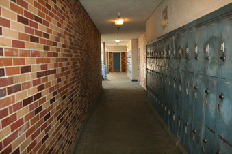 Enlarge photo 88