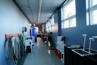 Enlarge photo 67