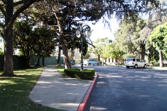 Enlarge photo 80
