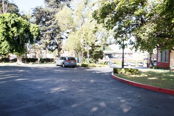 Enlarge photo 81